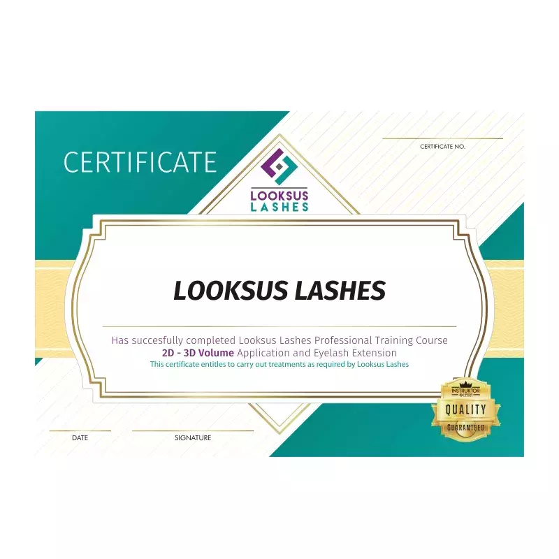 Certyfikat Looksus Lashes po angielsku - Metoda objętościowa 2-3D 1