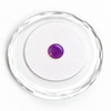 Koreański klej UV do przedłużania rzęs - Fioletowy 5ml
